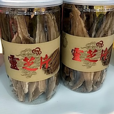 长白山丛林养殖灵芝片