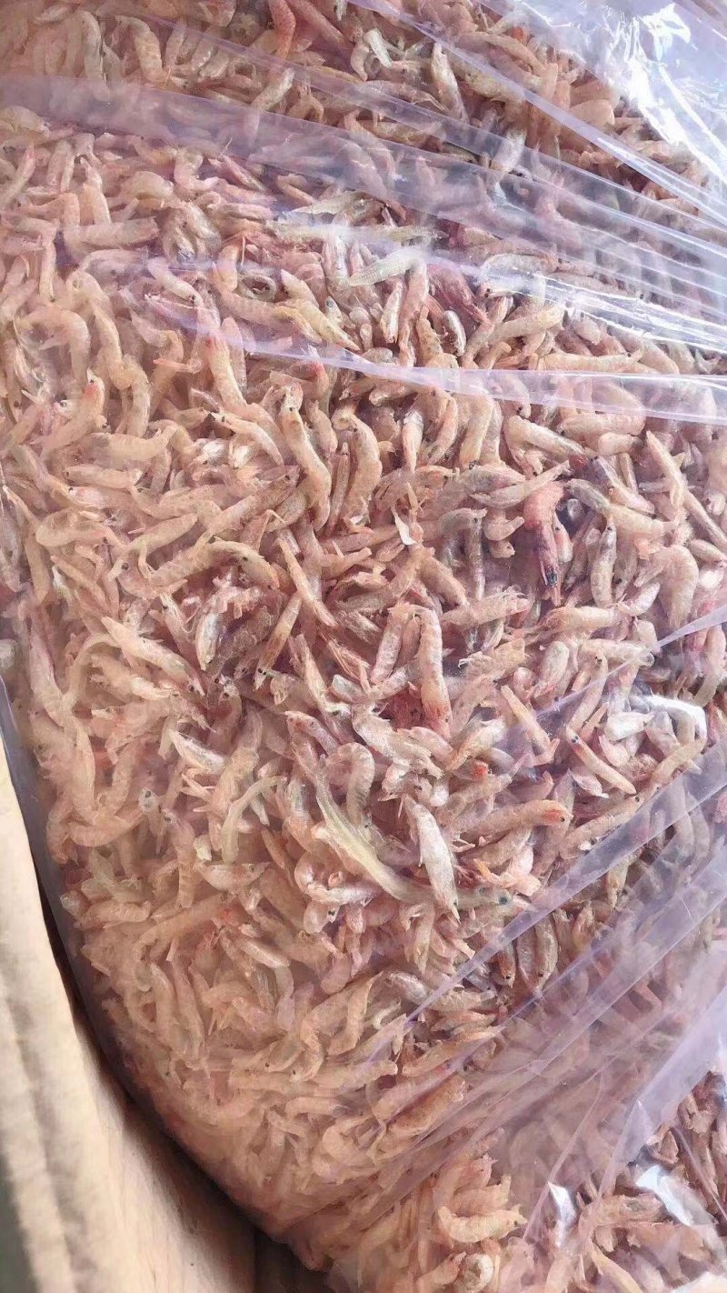 深海虾干