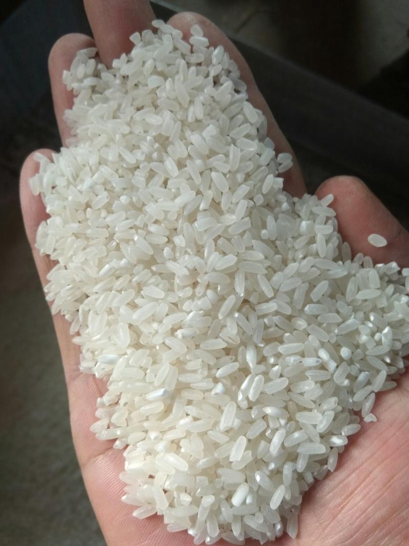 稻花香2号，长粒香，今年新稻子，120吨，欢迎米厂联系