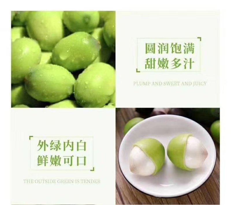莲蓬5–8公分，一级，红莲
