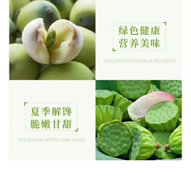 莲蓬5–8公分，一级，红莲