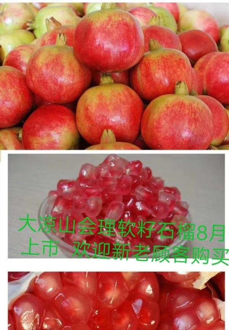突尼斯软子石榴