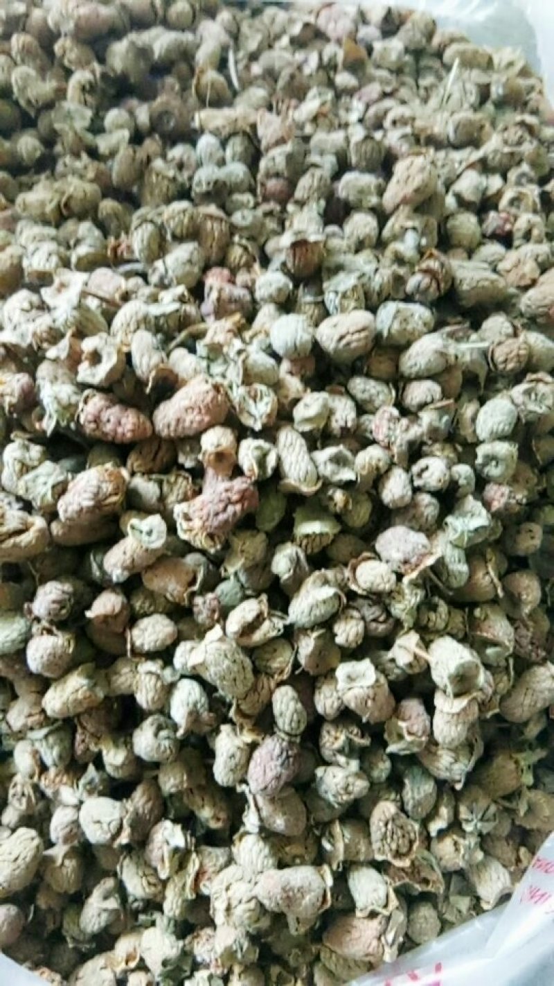 野生覆盆子颗粒饱满货干颜色好
