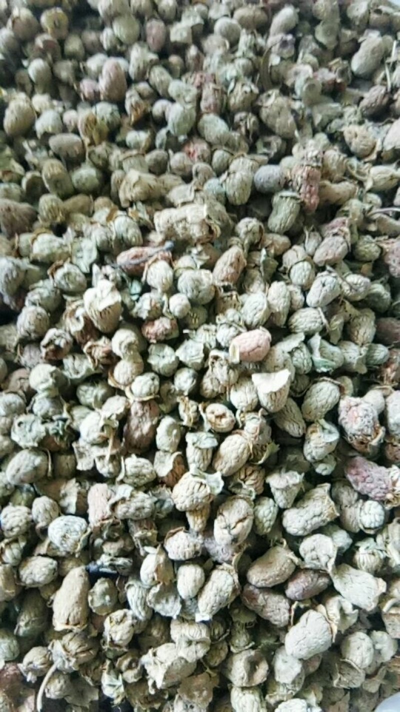 野生覆盆子颗粒饱满货干颜色好