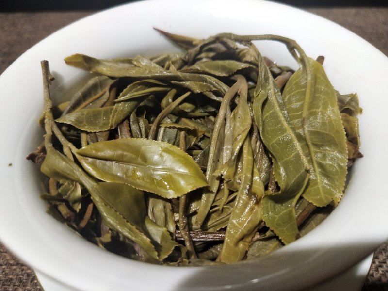 黄草林古树