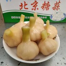 北京糖蒜