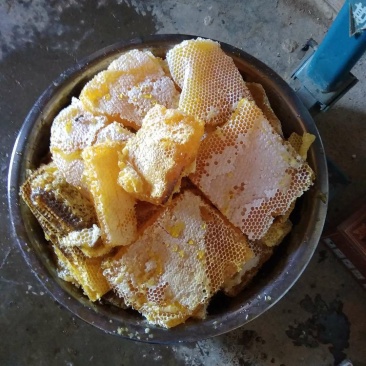 正宗土蜂蜜