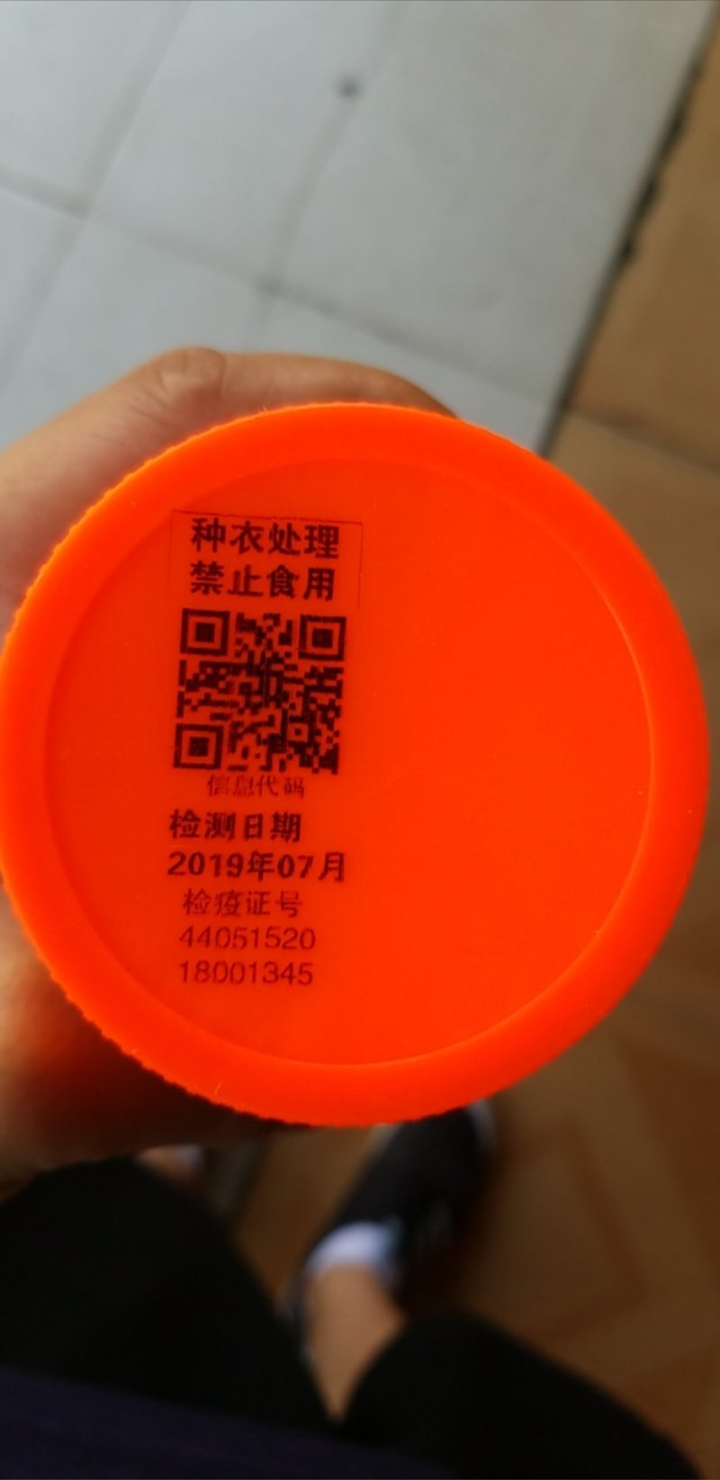 广东汕头金沙蔬菜所出品，荷兰豆种子，基地专用！