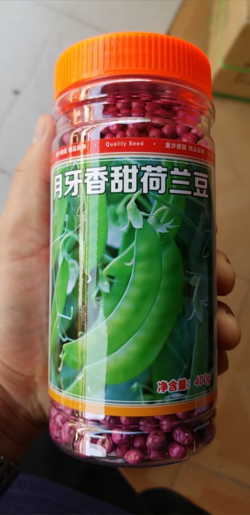 广东汕头金沙蔬菜所出品，荷兰豆种子，基地专用！