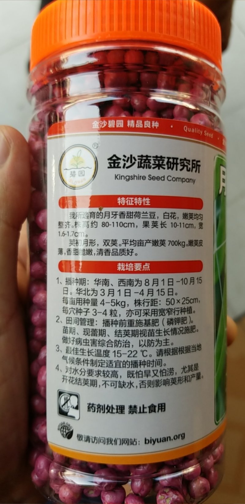 广东汕头金沙蔬菜所出品，荷兰豆种子，基地专用！