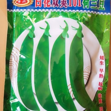 荷兰豆种子牛商推荐量大从优
