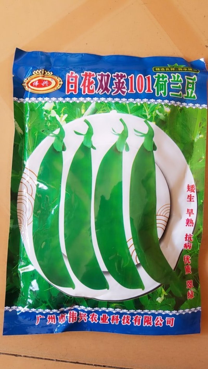 荷兰豆种子牛商推荐量大从优