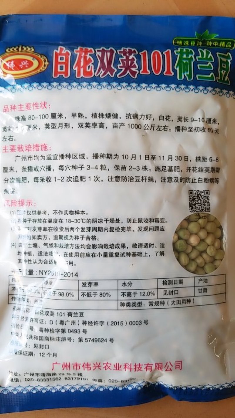 荷兰豆种子牛商推荐量大从优