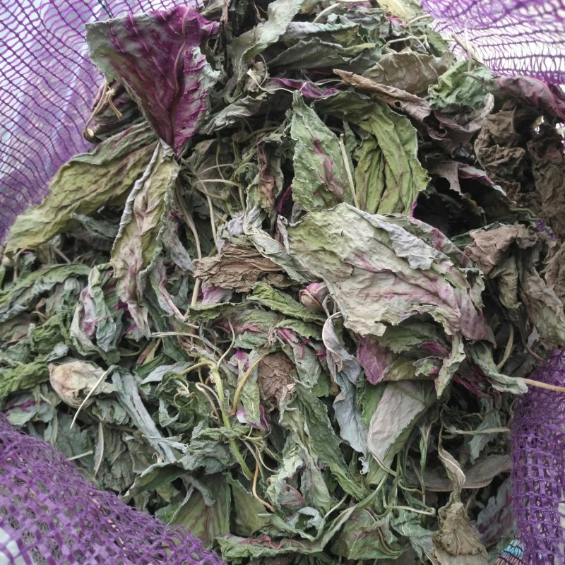 2021新货精品干菜农家苋菜干干苋菜