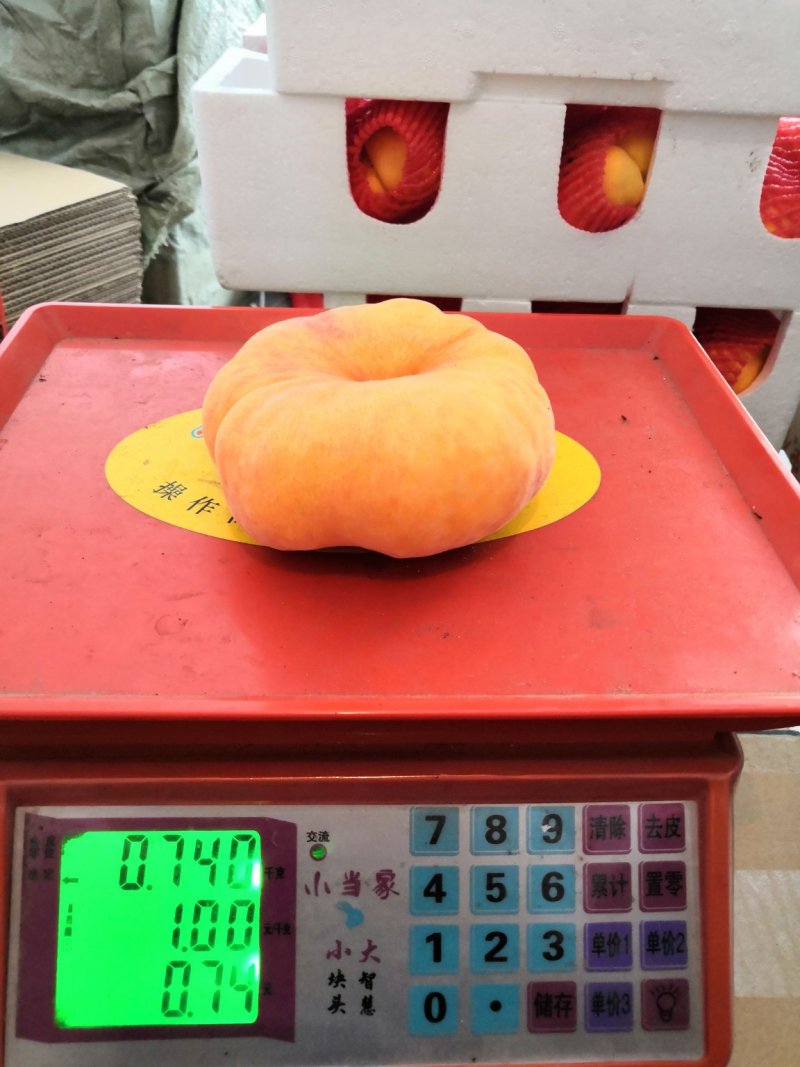 沂蒙山新鲜水果黄金蟠桃