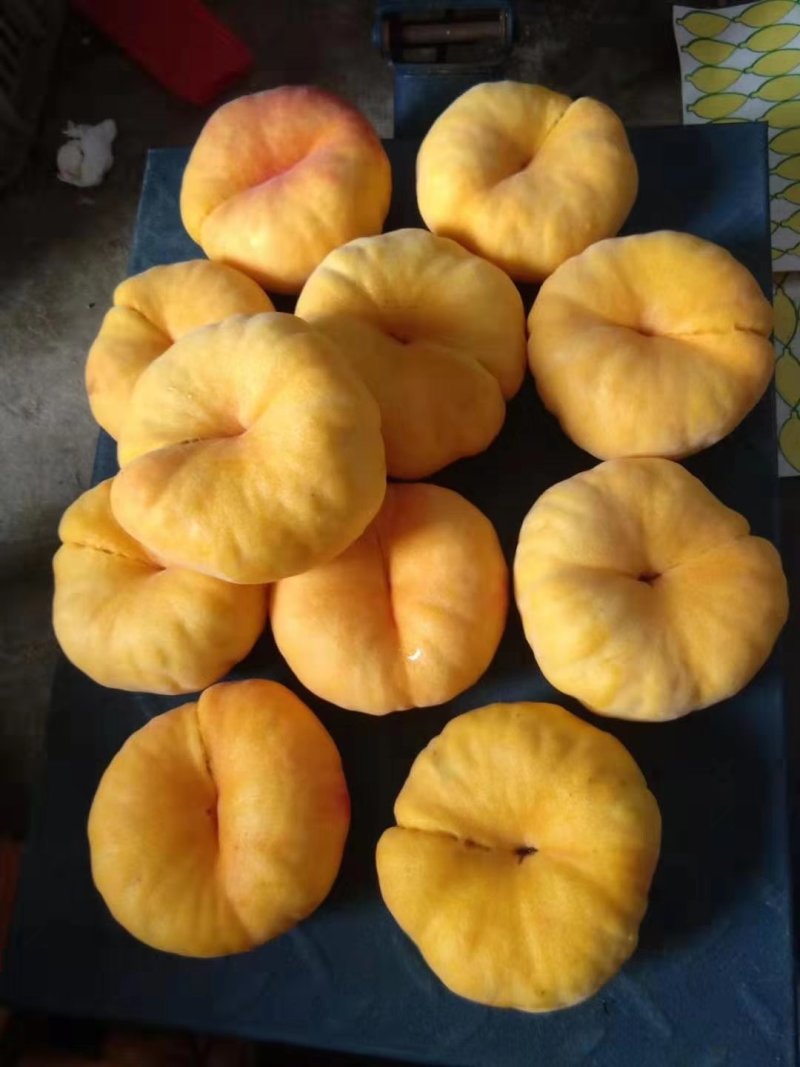 沂蒙山新鲜水果黄金蟠桃