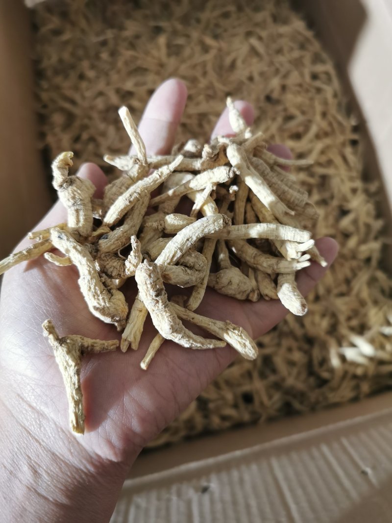 【有好货】【性价比高】包邮低残西洋参小货东北加拿大花旗参