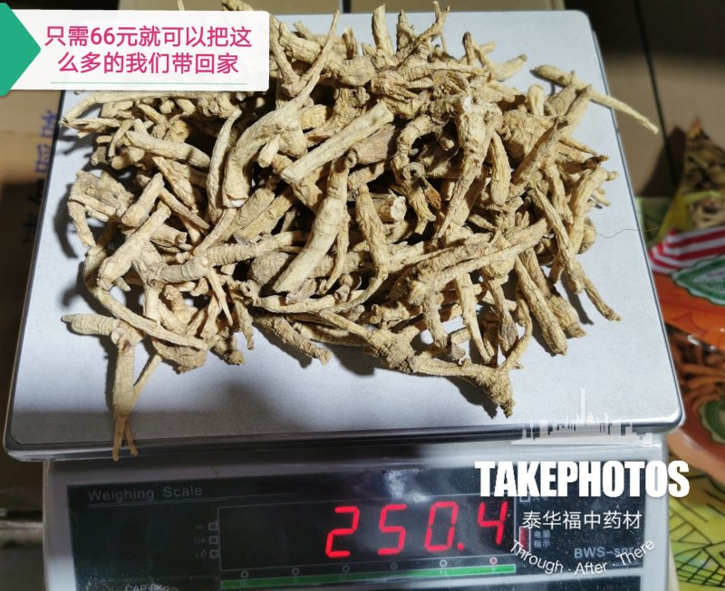 【有好货】【性价比高】包邮低残西洋参小货东北加拿大花旗参