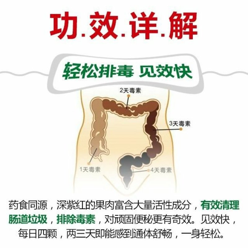 野生仙人掌果