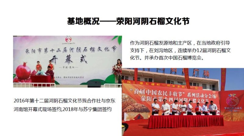 河阴突尼斯软籽石榴3-5斤产地果园直发大量上市