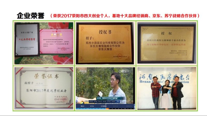 河阴突尼斯软籽石榴3-5斤产地果园直发大量上市