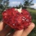 河阴突尼斯软籽石榴3-5斤产地果园直发大量上市