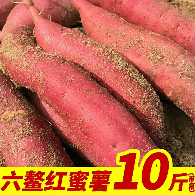 六鳌地瓜包甜好吃