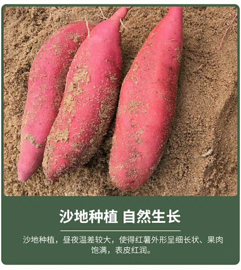 六鳌地瓜包甜好吃