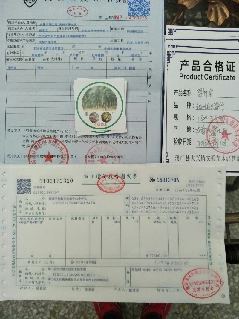 雷竹苗，雷竹笋，提供全方位服务！