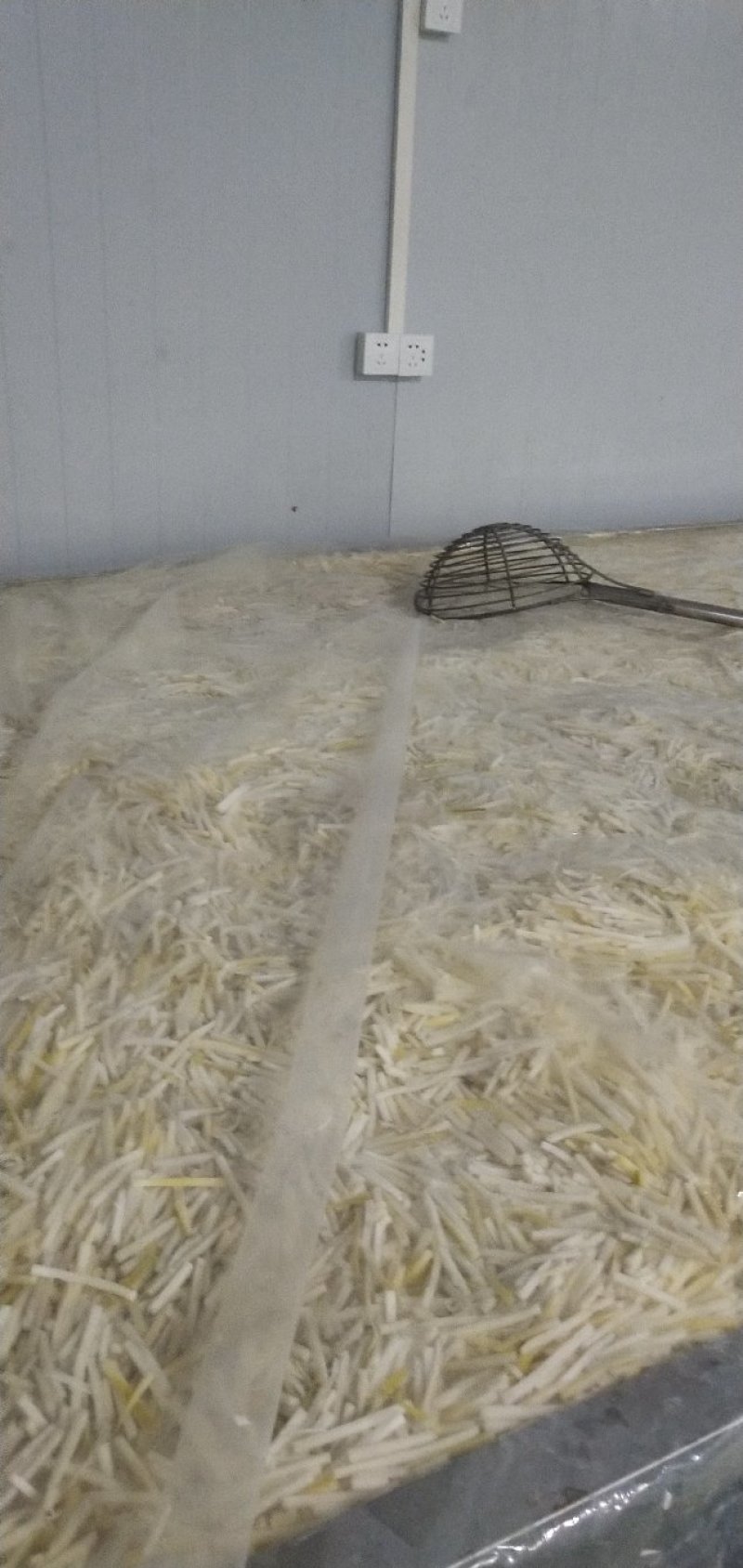 散装酸笋盐笋清水笋