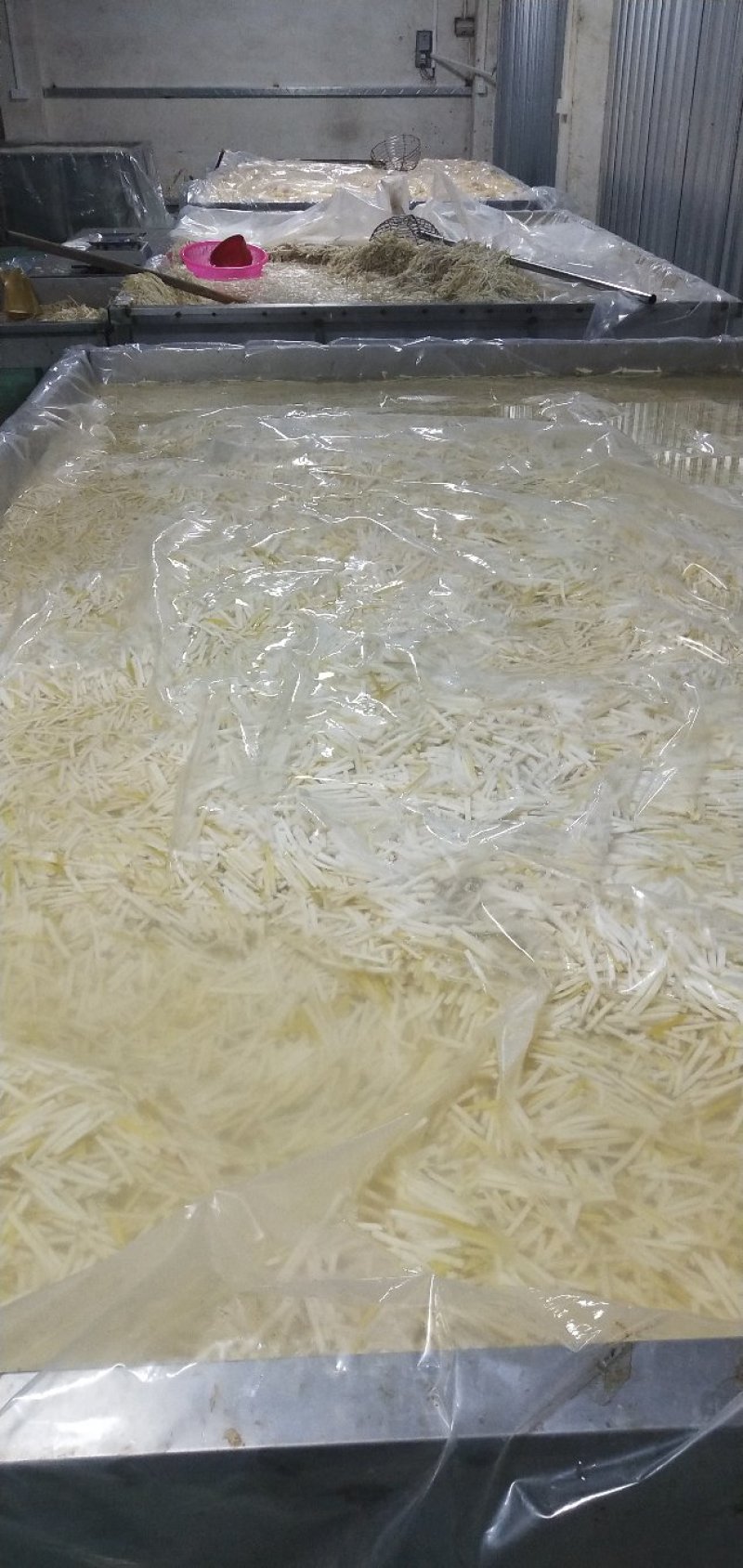 散装酸笋盐笋清水笋