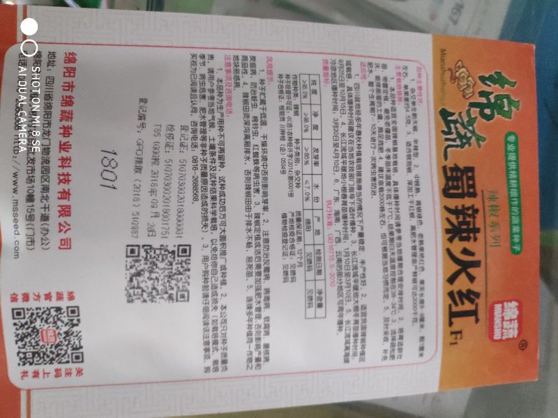 辣椒种子绵蔬蜀辣火红朝天椒种子