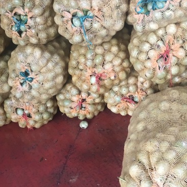麻陇原产核桃