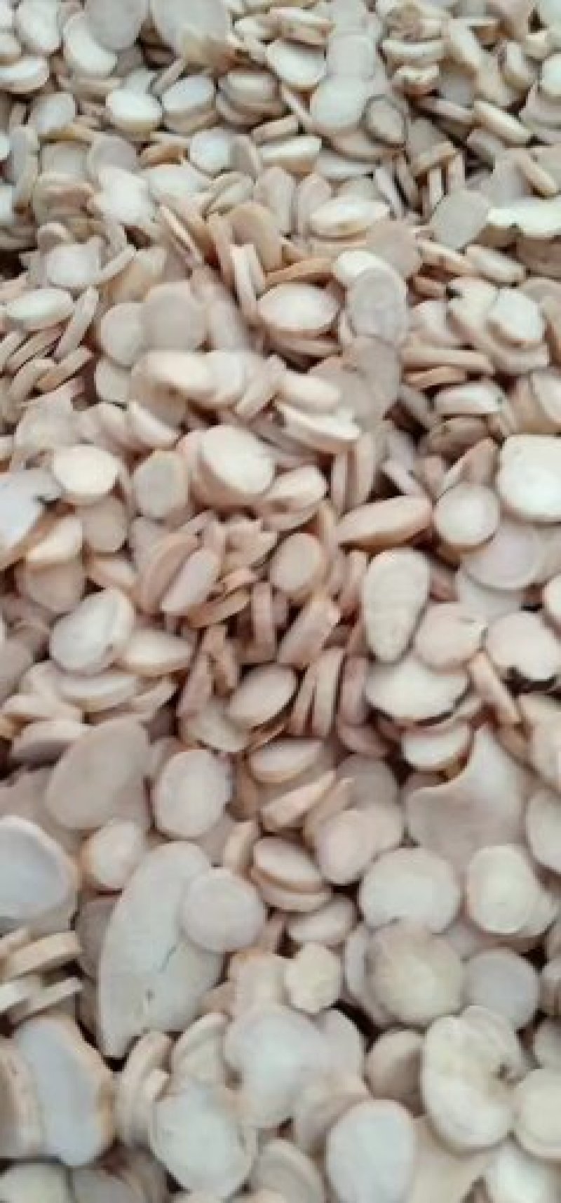 精品白芍，无硫，6--14号筛
