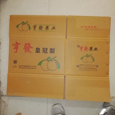 供应五层纸箱