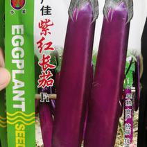 【精选】紫红长茄种子