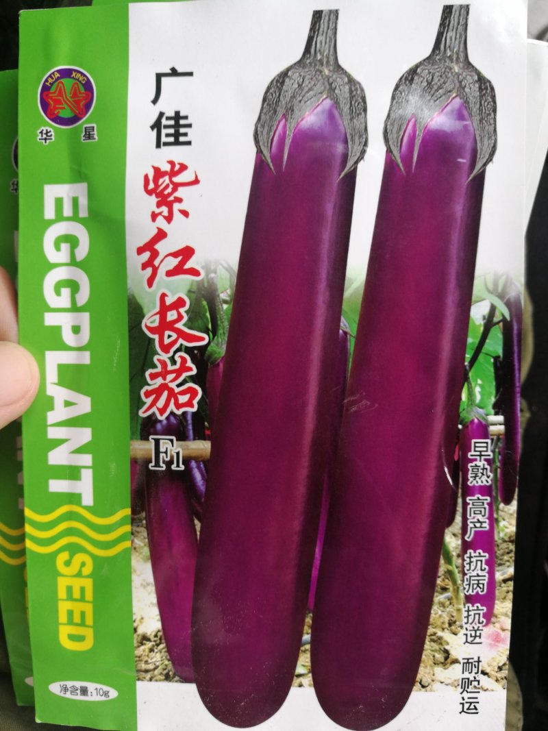 【精选】紫红长茄种子