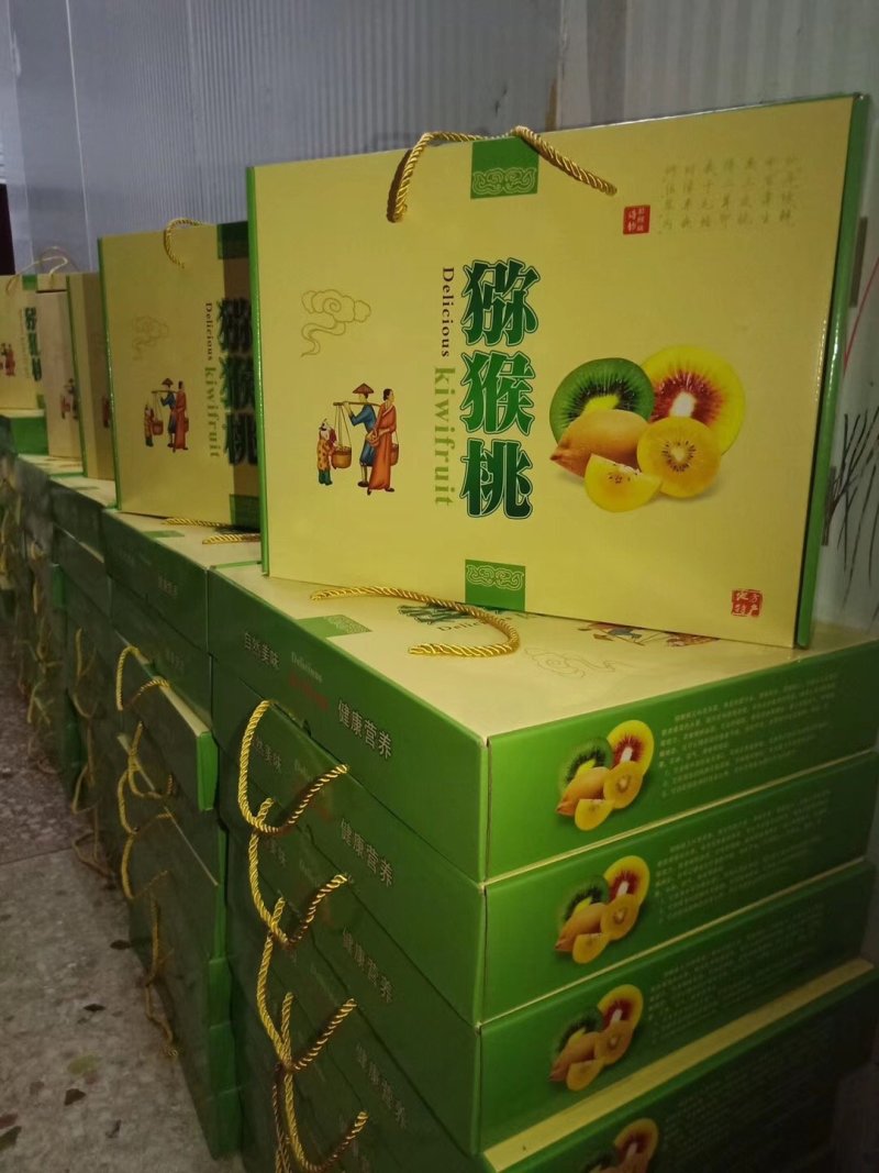 猕猴桃湘西红心猕猴桃上市对接电商超市批发等