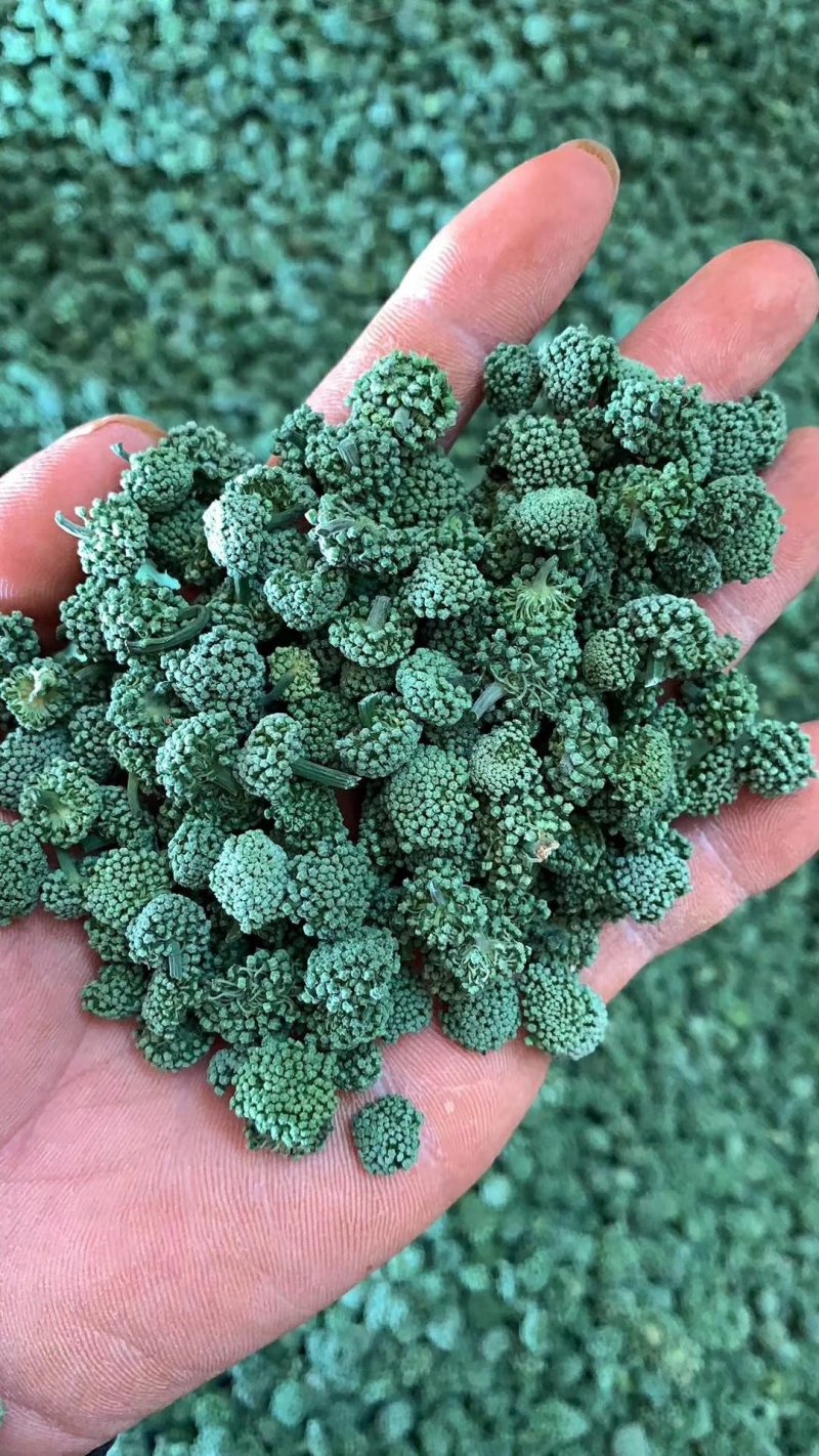 三七花云南优质三七花118一斤