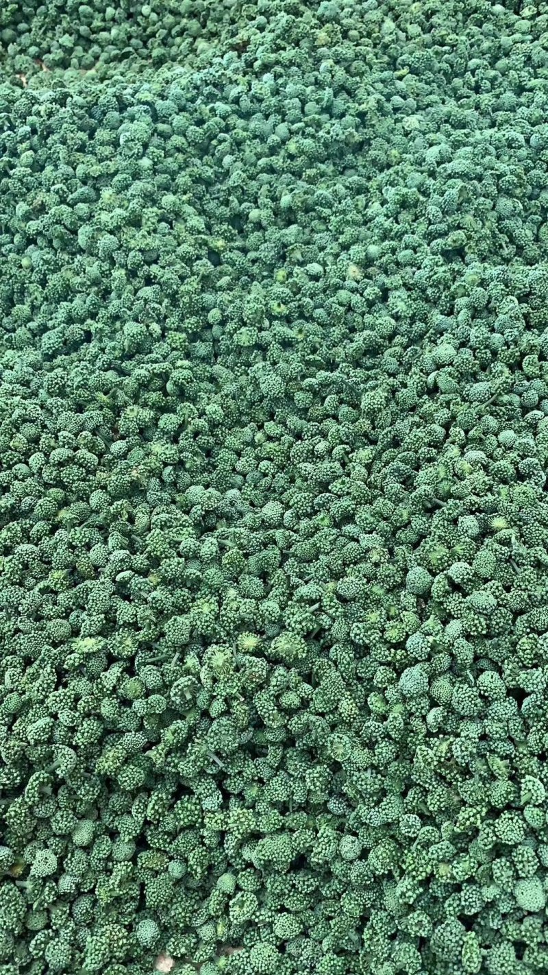 三七花云南优质三七花118一斤