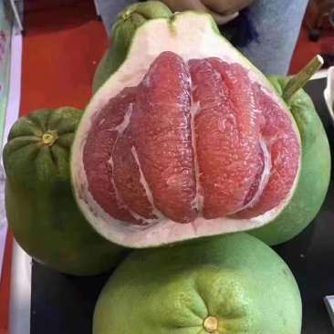 泰国红宝石青皮柚苗，红宝石葡萄柚