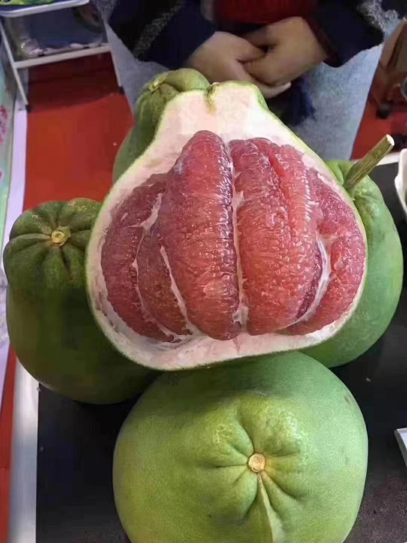 泰国红宝石青皮柚苗，红宝石葡萄柚
