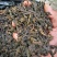古树黑茶/原料/茶砖/发酵压饼/缅甸进口