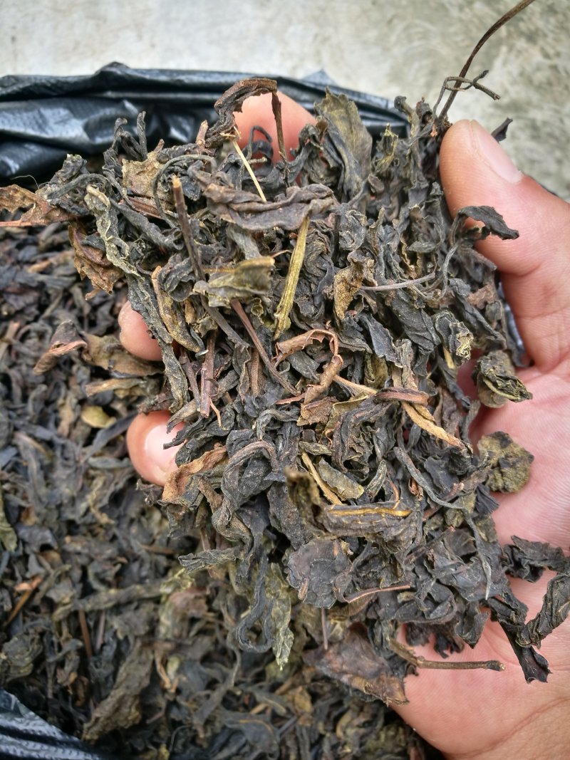 古树黑茶/原料/茶砖/发酵压饼/缅甸进口