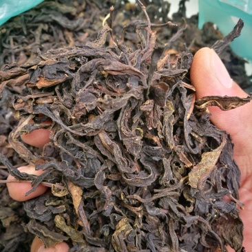 古树黑茶/原料/茶砖/发酵压饼/缅甸进口