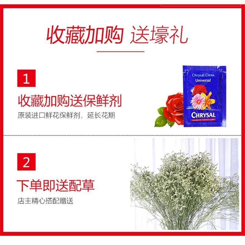 云南基地直发昆明鲜花直批玫瑰花批发20支鲜切花速配花束插
