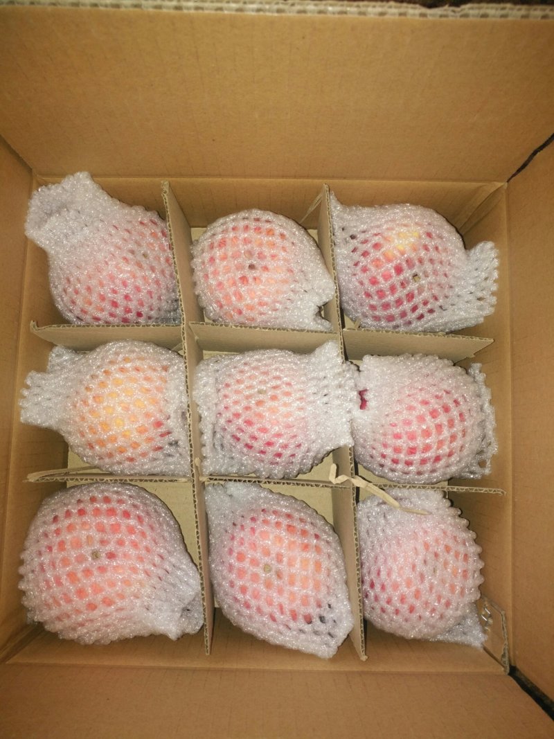 吉县红富士苹果产地直发