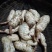纯野生天麻供应