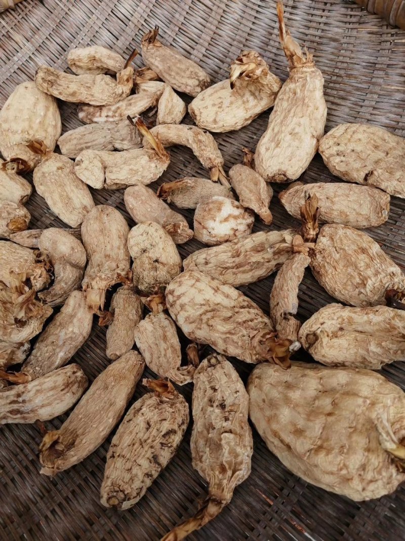 纯野生天麻供应