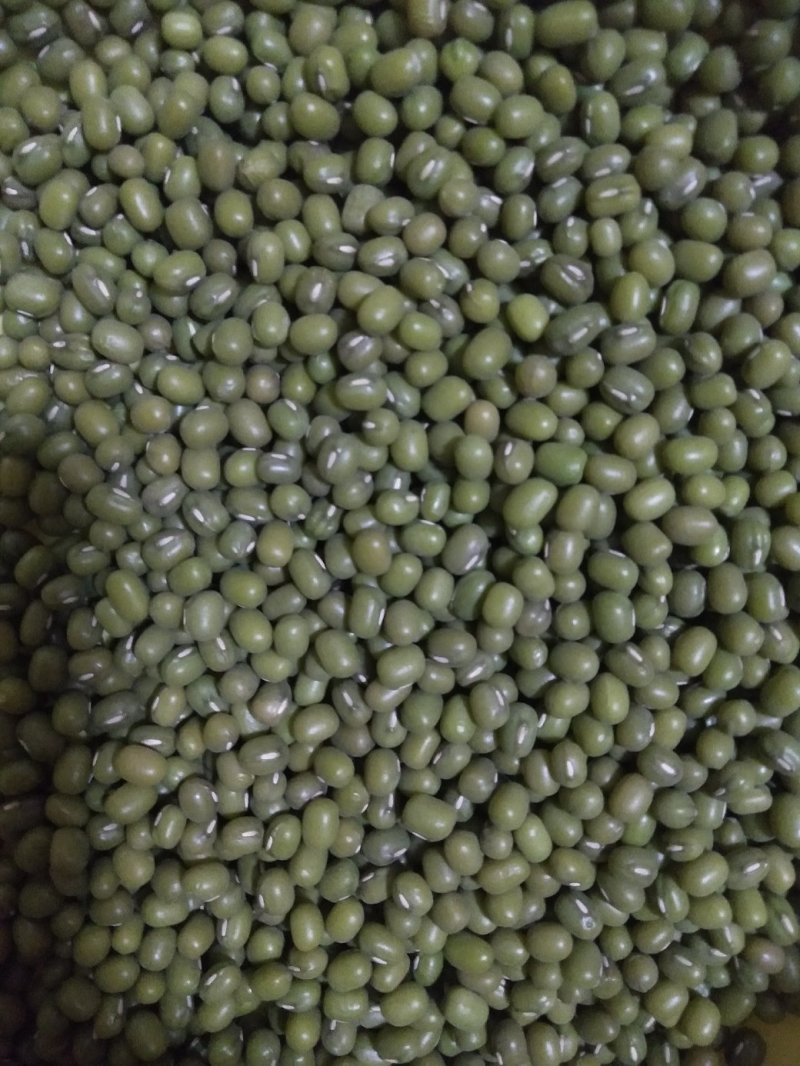 豆类作物